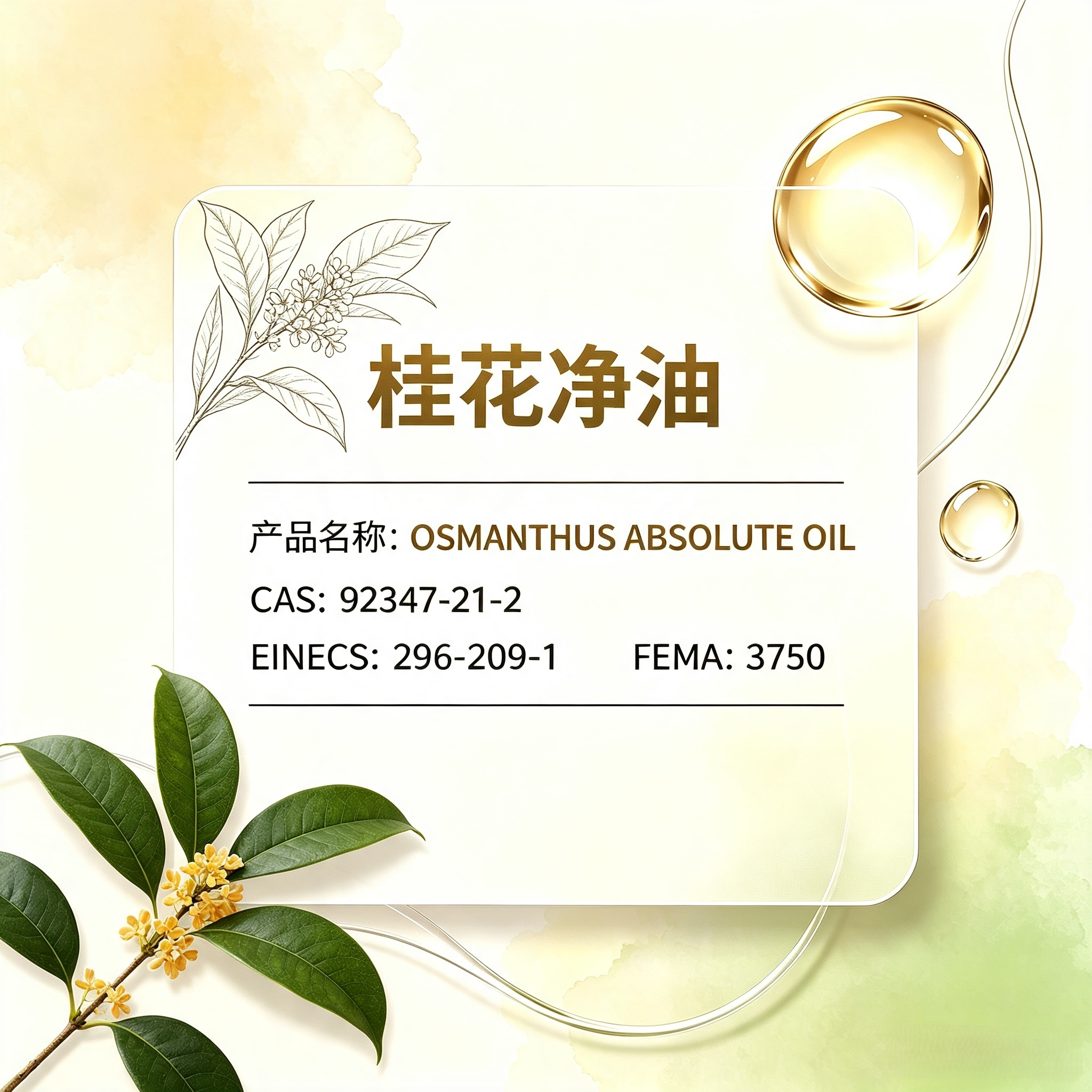 Osmanthus Absolute Oil