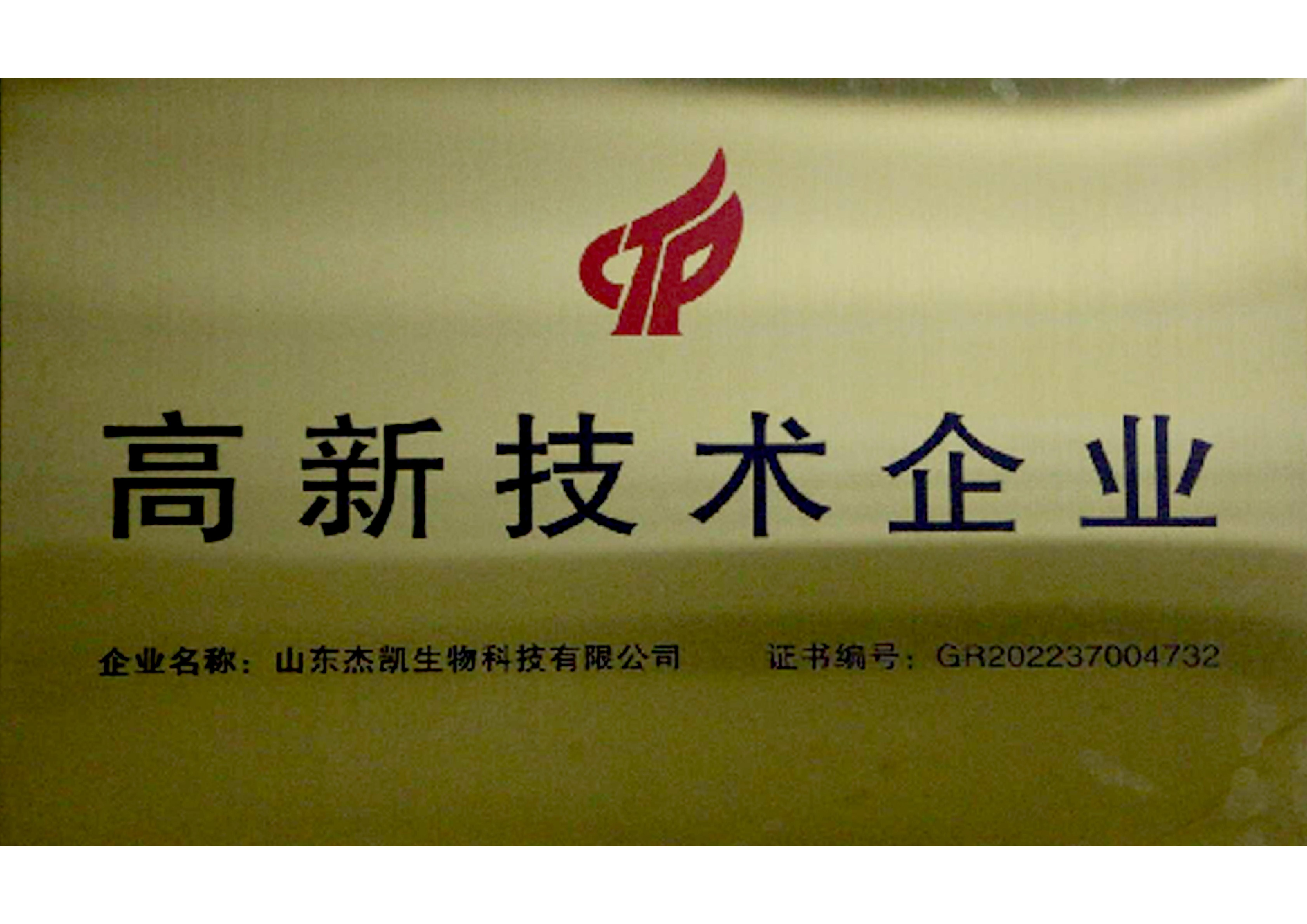 高新技术企业