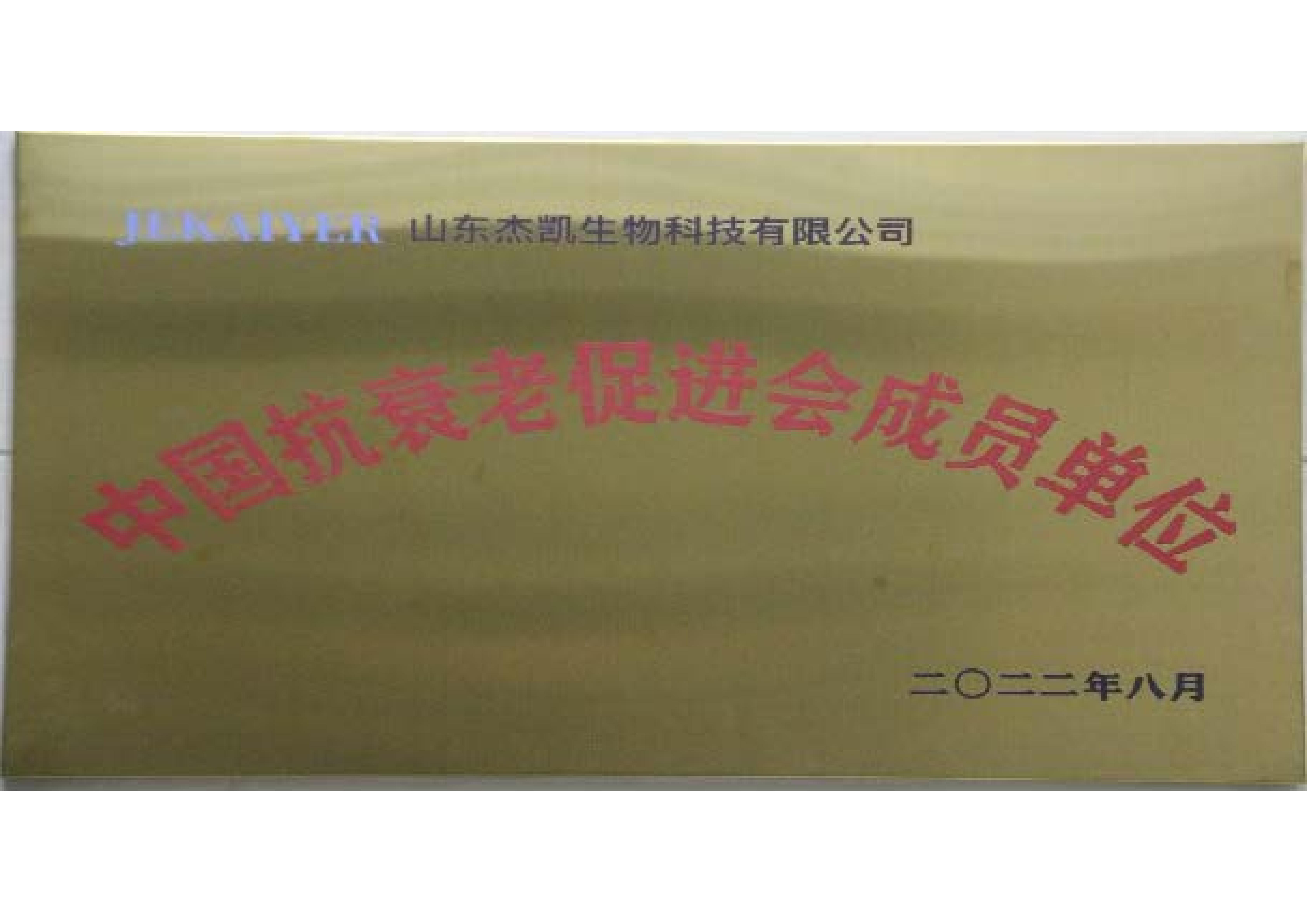 抗衰老促进会