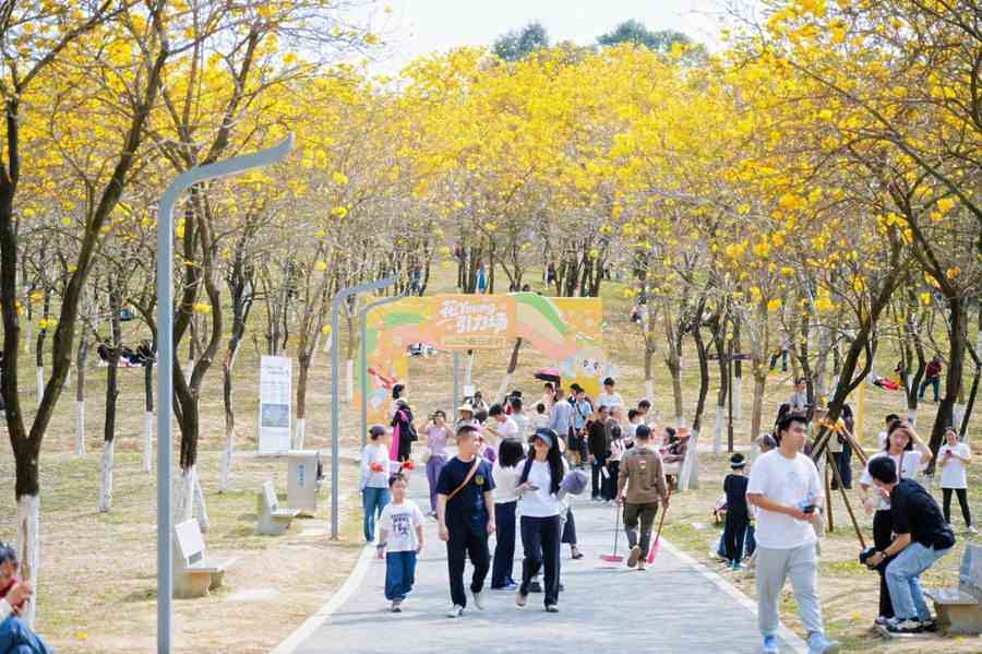 商业文旅