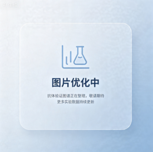 Anti-GAPDH 鼠单克隆抗体 武汉阿罗拉生物