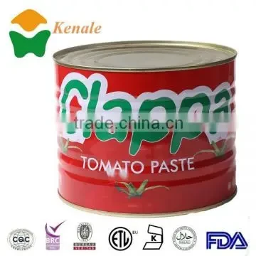 Premium Tomato Paste view 2
