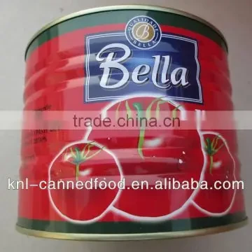 Premium Tomato Paste view 4