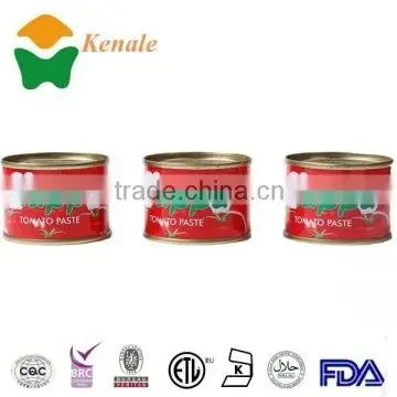 Premium Tomato Paste view 3