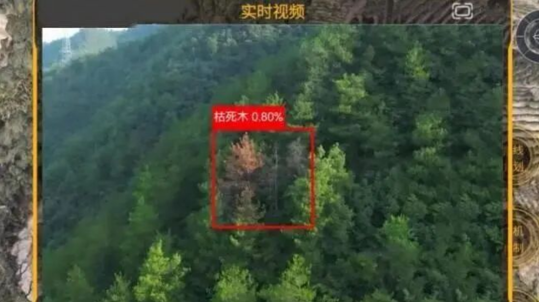 林业巡护实时视频