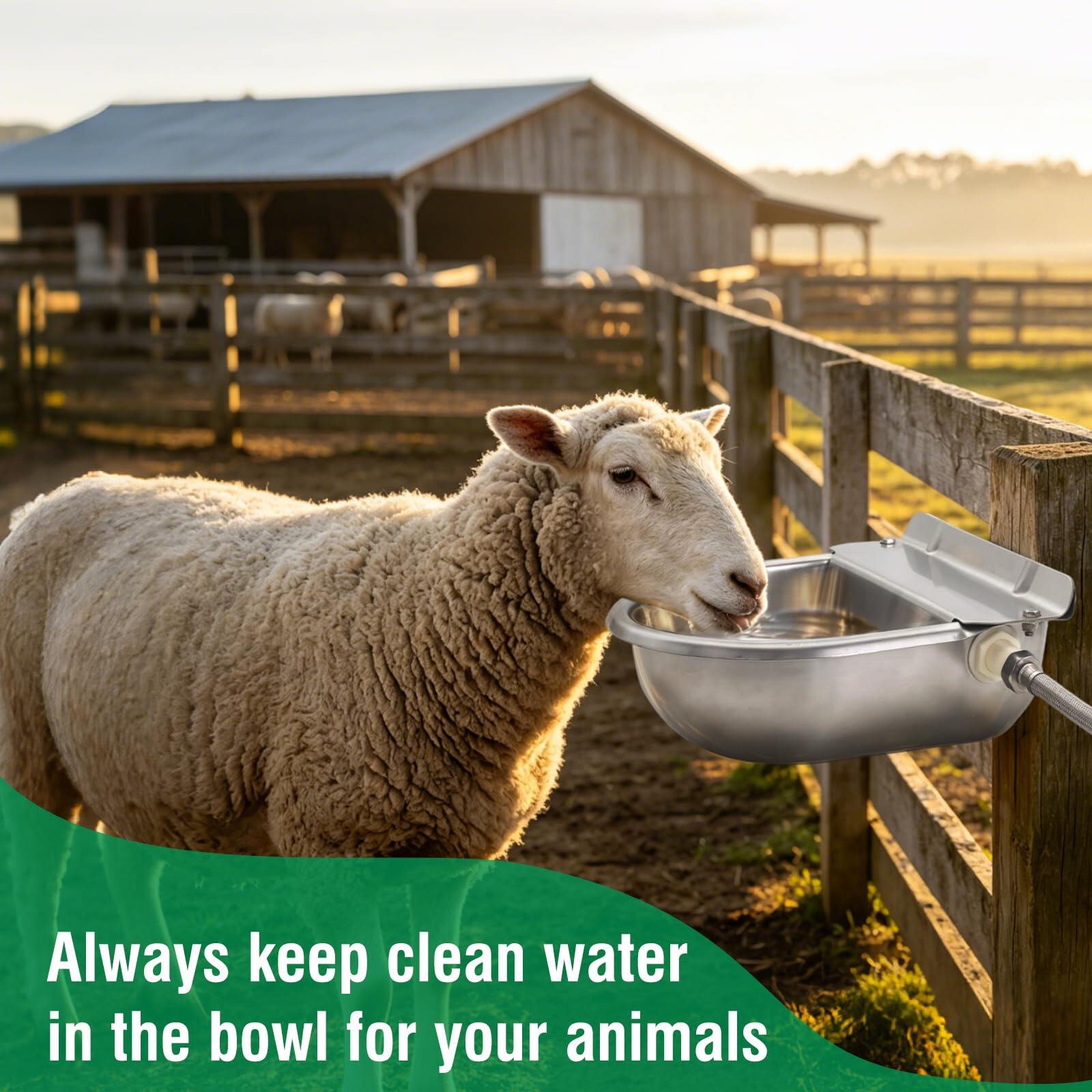 Automatic Horse Waterer Large Livestock Water Bowl 1.35Gal Stainless Steel Trough for Cattle Cow Pig Sheep Pet Dog 5
