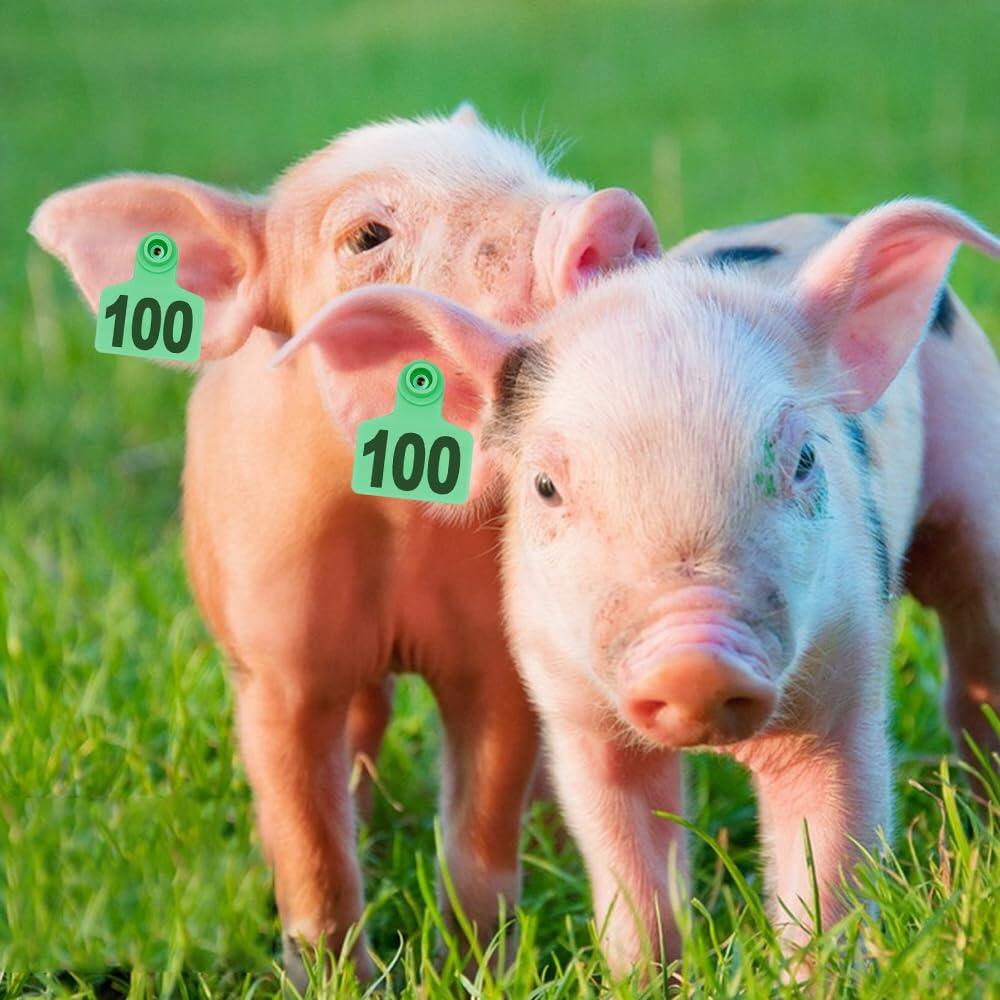 
Livestock Ear Tags 001-100 Numbered Plastic with Applicator Pliers (Green)
Animal Ear Tags for Pig Cow Sheep Calf Goat, Animal Identification Ranch & Farm Herd Tracking, Laser-printed Fade-Resistant 3