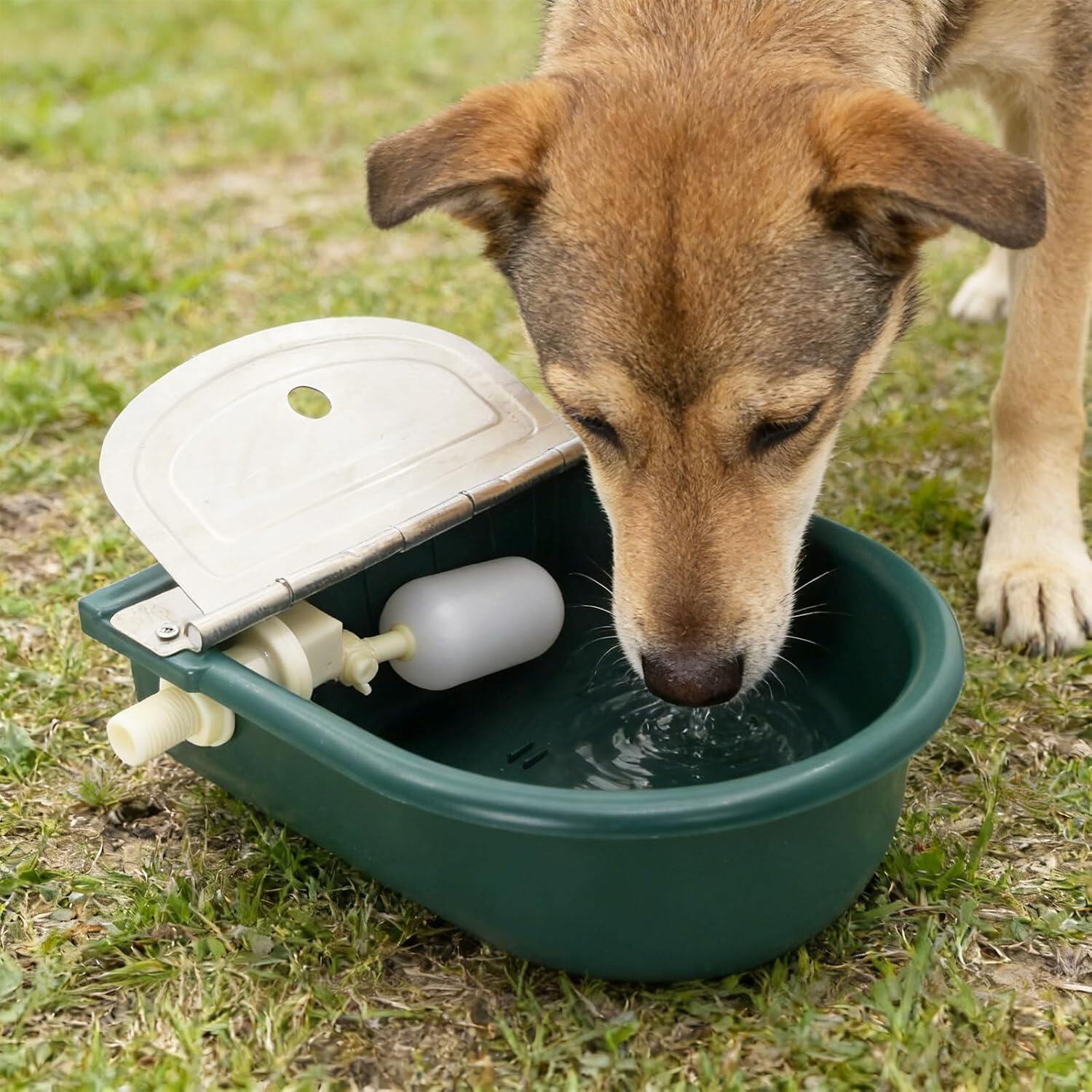 Automatic 1.2 Gallon Water Trough Cow Cattle Horse Water Bowls with Float Valve Livestock Tool Bowl for Cat Goat Sheep Dog Animal Drinking Equipment 5