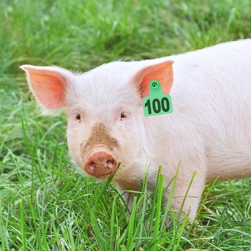 
Livestock Ear Tags 001-100 Numbered Plastic with Applicator Pliers (Green)
Animal Ear Tags for Pig Cow Sheep Calf Goat, Animal Identification Ranch & Farm Herd Tracking, Laser-printed Fade-Resistant 5