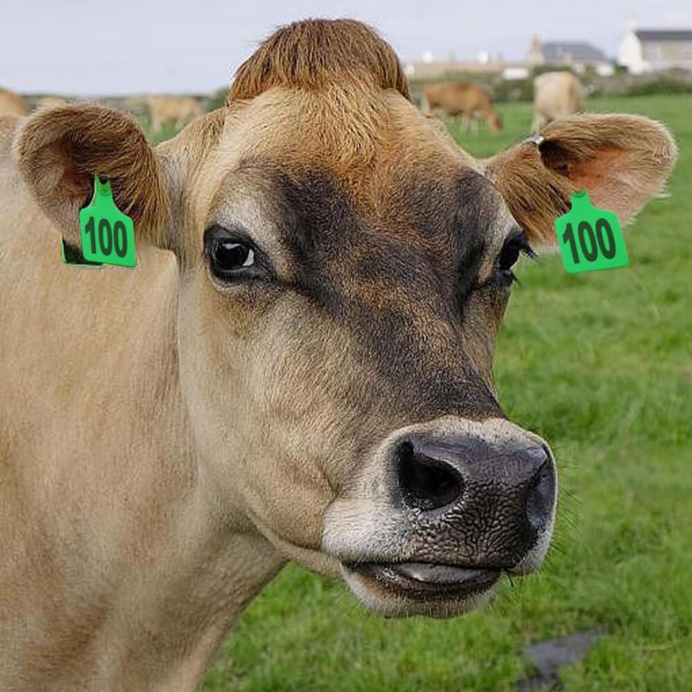 Cattle Ear Tags 001-100 Numbered Plastic with Applicator Pliers (Green)
Livestock Ear Tag for Cow Sheep Calf Goat Pig, Animal Identification Ranch & Farm Herd Tracking, Laser-printed Fade-Resistant 2
