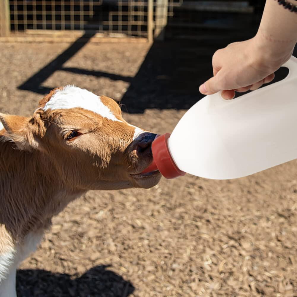 Calf Bottle with a Replacement Nipple 2.11 Quart Milk Feeder Nursing Feeding Bottle 6