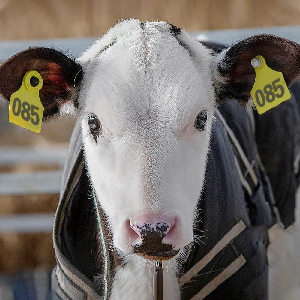 Cattle Ear Tags 001-100 Numbered Plastic with Applicator Pliers (Yellow)
Livestock Ear Tag for Cow Sheep Calf Goat Pig, Animal Identification Ranch & Farm Herd Tracking, Laser-printed Fade-Resistant 6