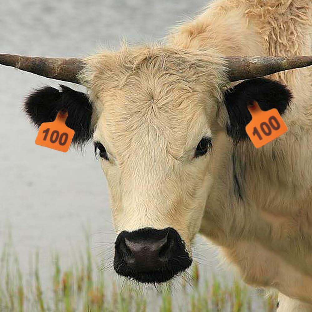 Cattle Ear Tags 001-100 Numbered Plastic with Applicator Pliers (Orange)
Livestock Ear Tag for Cow Sheep Calf Goat Pig, Animal Identification Ranch & Farm Herd Tracking, Laser-printed Fade-Resistant 6