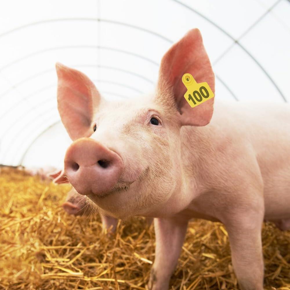 Livestock Ear Tags 001-100 Numbered Plastic with Applicator Pliers (Yellow)
Animal Ear Tags for Pig Cow Sheep Calf Goat, Animal Identification Ranch & Farm Herd Tracking, Laser-printed Fade-Resistant 6