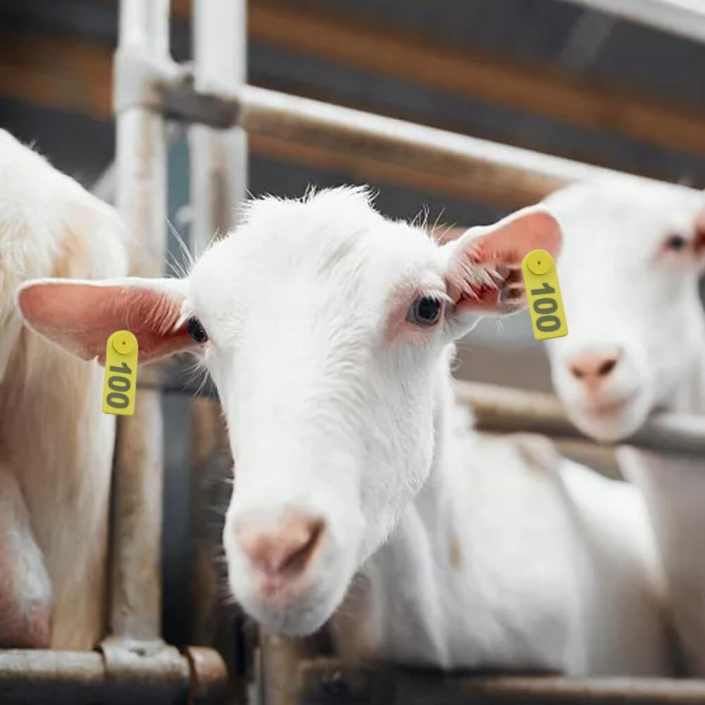 100Pcs Sheep Goat Ear Tags 001-100 Numbered Plastic with Applicator Pliers
Livestock Ear Tags for Goats Sheep Pigs, Animal Tracking Identification, Laser Printed for Easy Farm Management (Yellow) 2