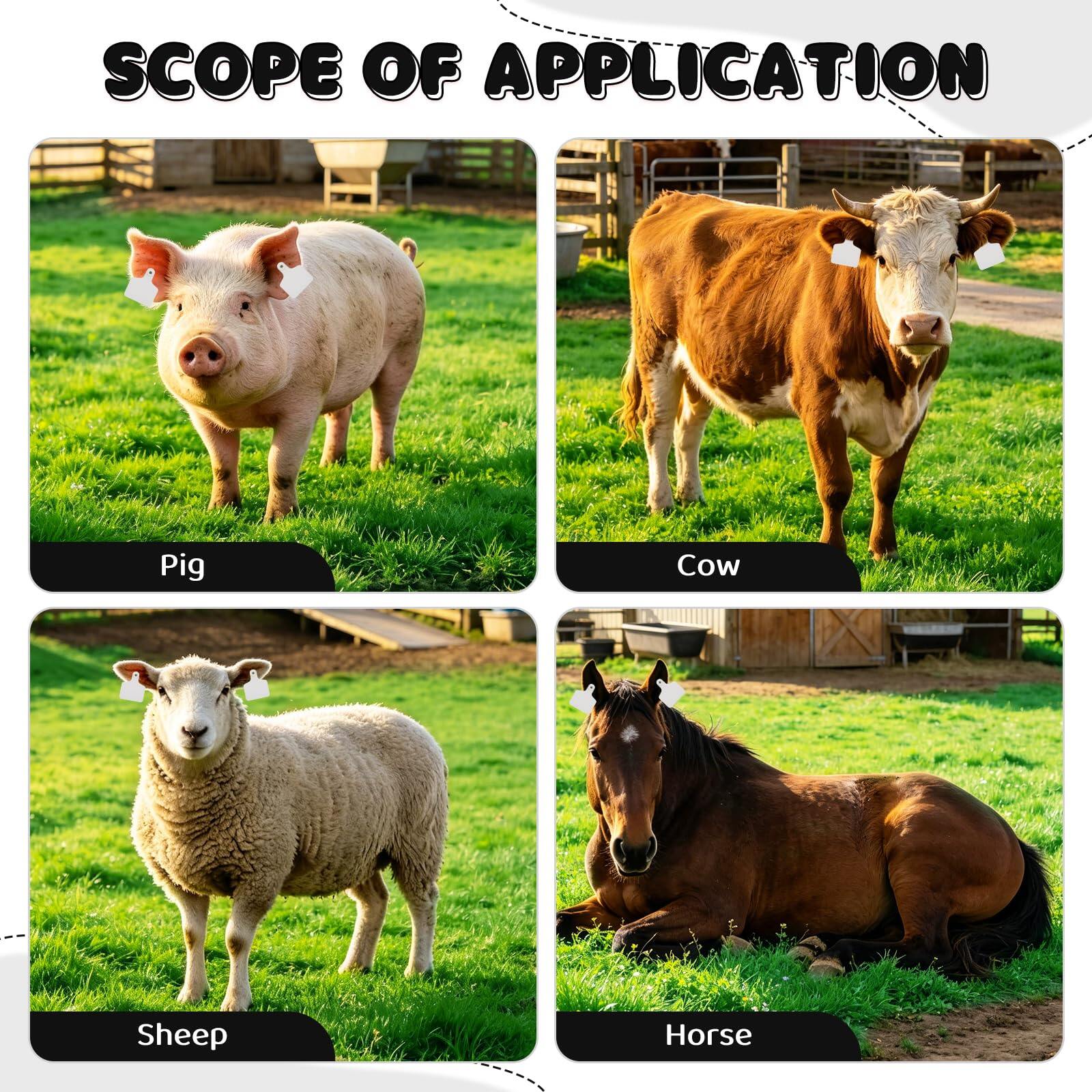 Cattle Ear Tags & Marking Pen 100pcs TPU Blank Cow Tags for Sheep Goat Pig and Other Livestock Animals Identification (White, for Cattle) 5
