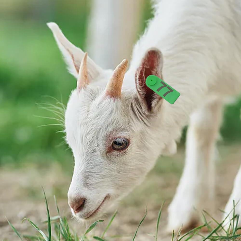 100Pcs Sheep Goat Ear Tags 001-100 Numbered Plastic with Applicator Pliers
Livestock Ear Tags for Goats Sheep Pigs, Animal Tracking Identification, Laser Printed for Easy Farm Management (Green) 6