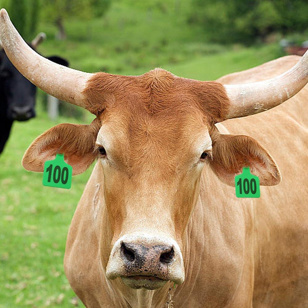 Cattle Ear Tags 001-100 Numbered Plastic with Applicator Pliers (Green)
Livestock Ear Tag for Cow Sheep Calf Goat Pig, Animal Identification Ranch & Farm Herd Tracking, Laser-printed Fade-Resistant 6