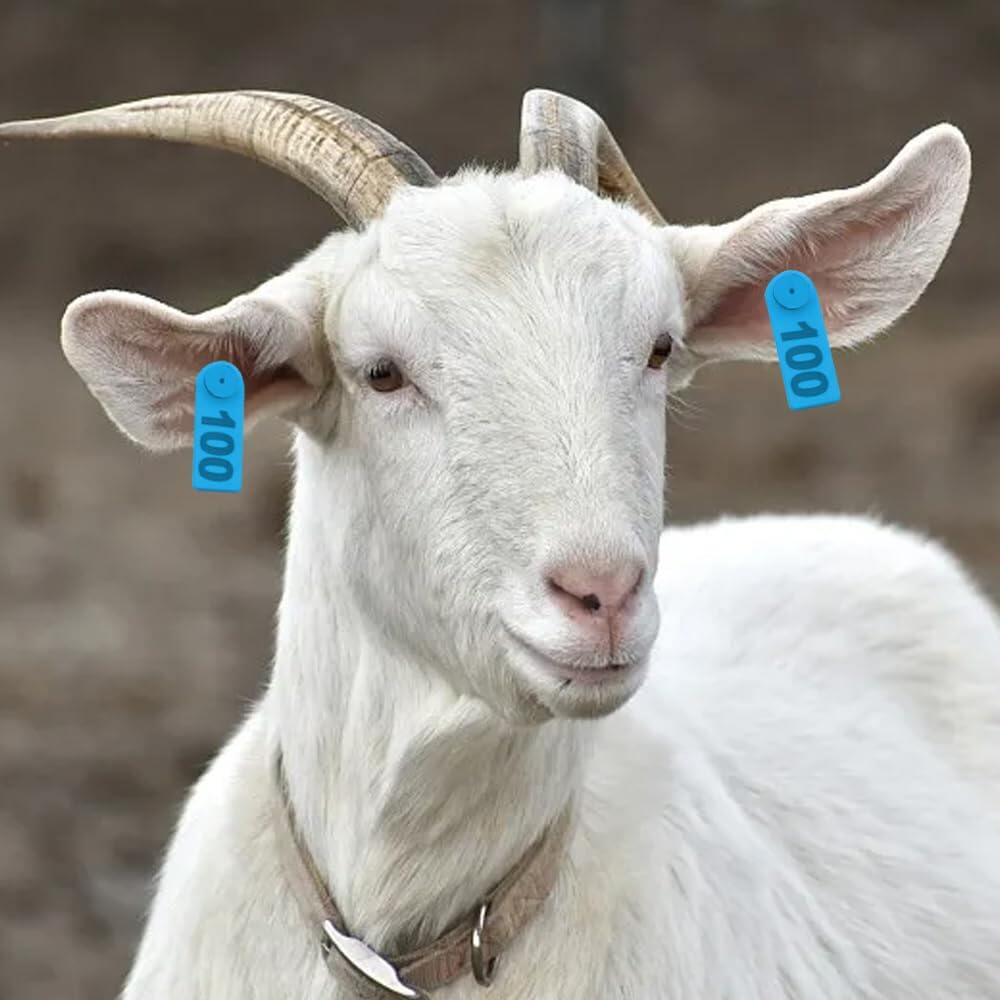 100Pcs Sheep Goat Ear Tags 001-100 Numbered Plastic with Applicator Pliers
Livestock Ear Tags for Goats Sheep Pigs, Animal Tracking Identification, Laser Printed for Easy Farm Management (Blue) 2