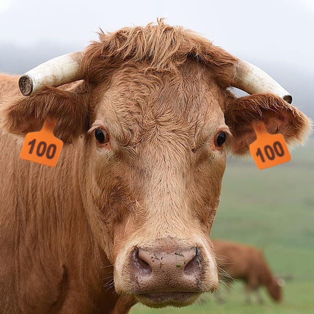 Cattle Ear Tags 001-100 Numbered Plastic with Applicator Pliers (Orange)
Livestock Ear Tag for Cow Sheep Calf Goat Pig, Animal Identification Ranch & Farm Herd Tracking, Laser-printed Fade-Resistant 3