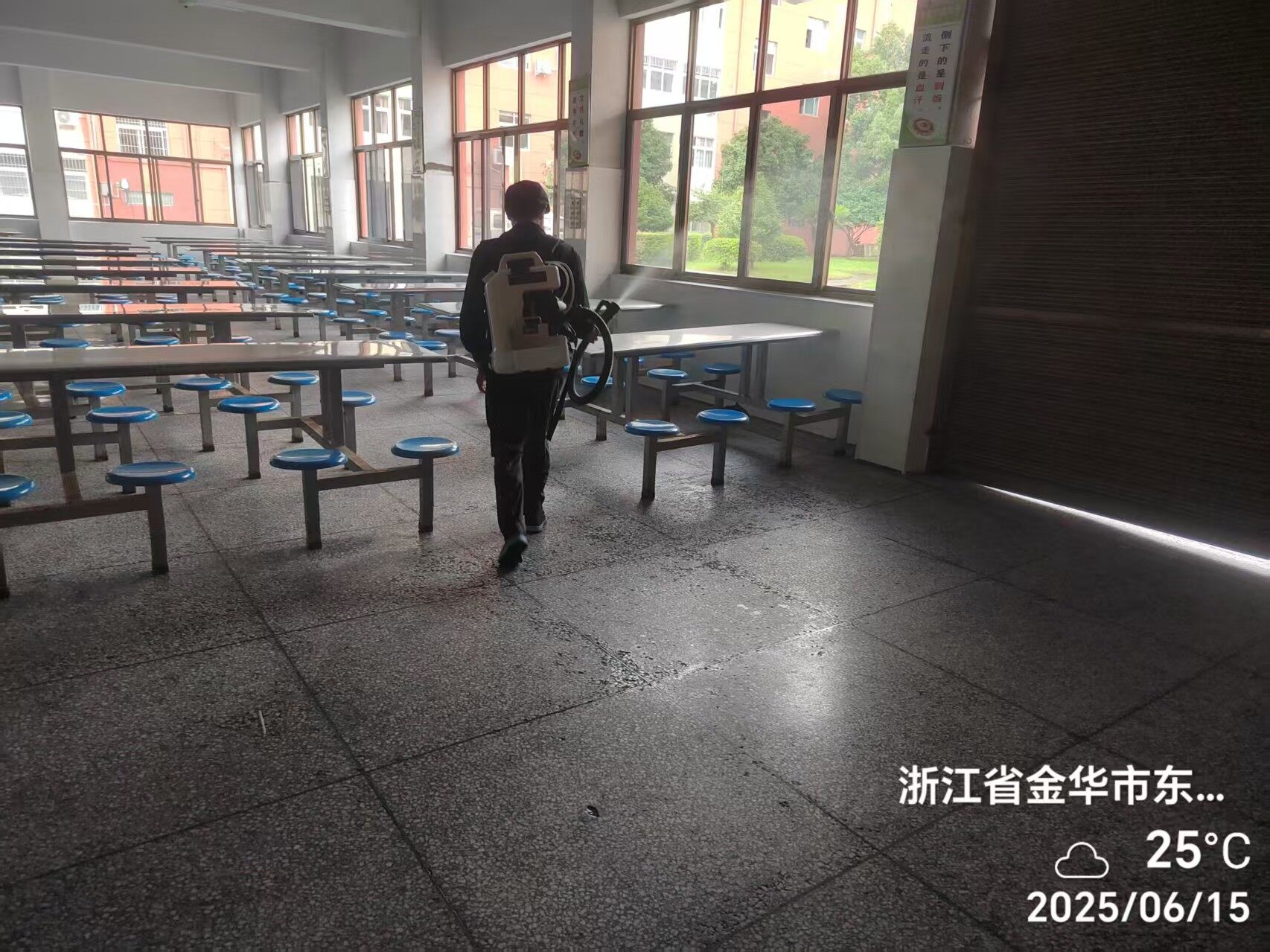美家美城市服务｜东阳白蚁防治，专业灭白蚁守护家居木结构安全