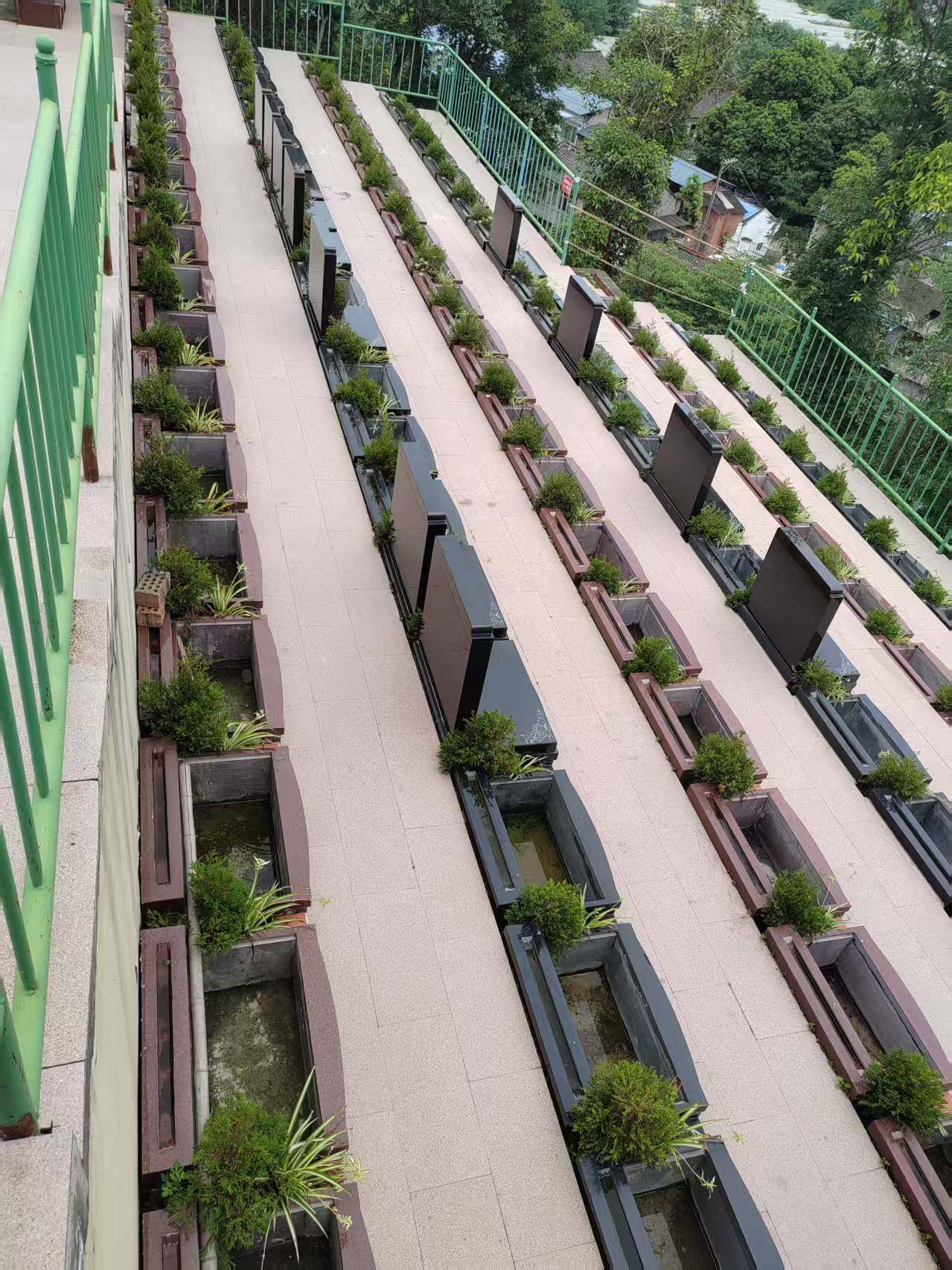 立碑双墓-4