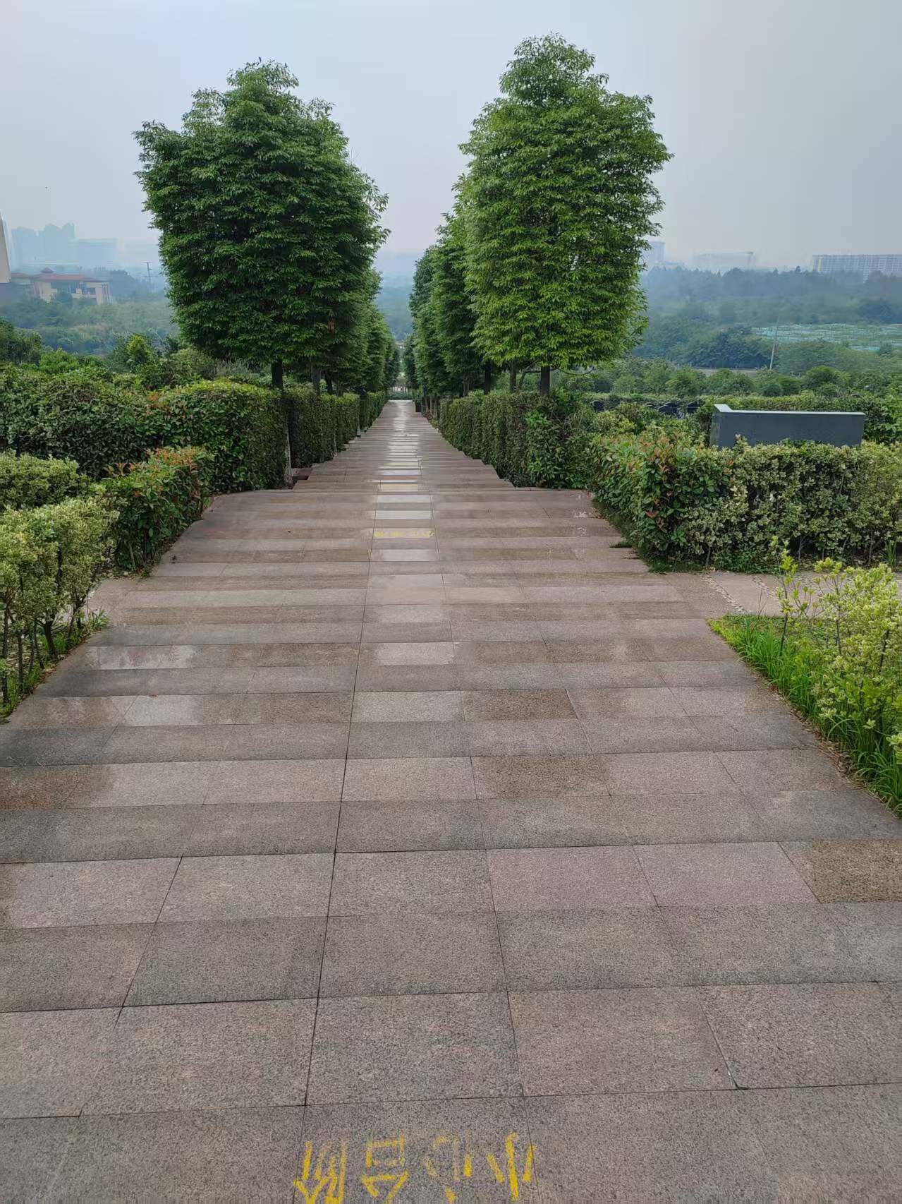 立碑双墓-6