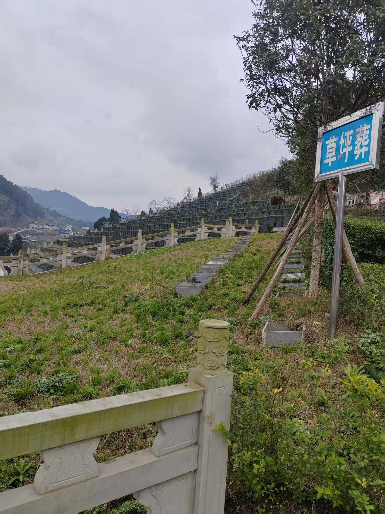 草坪葬-1