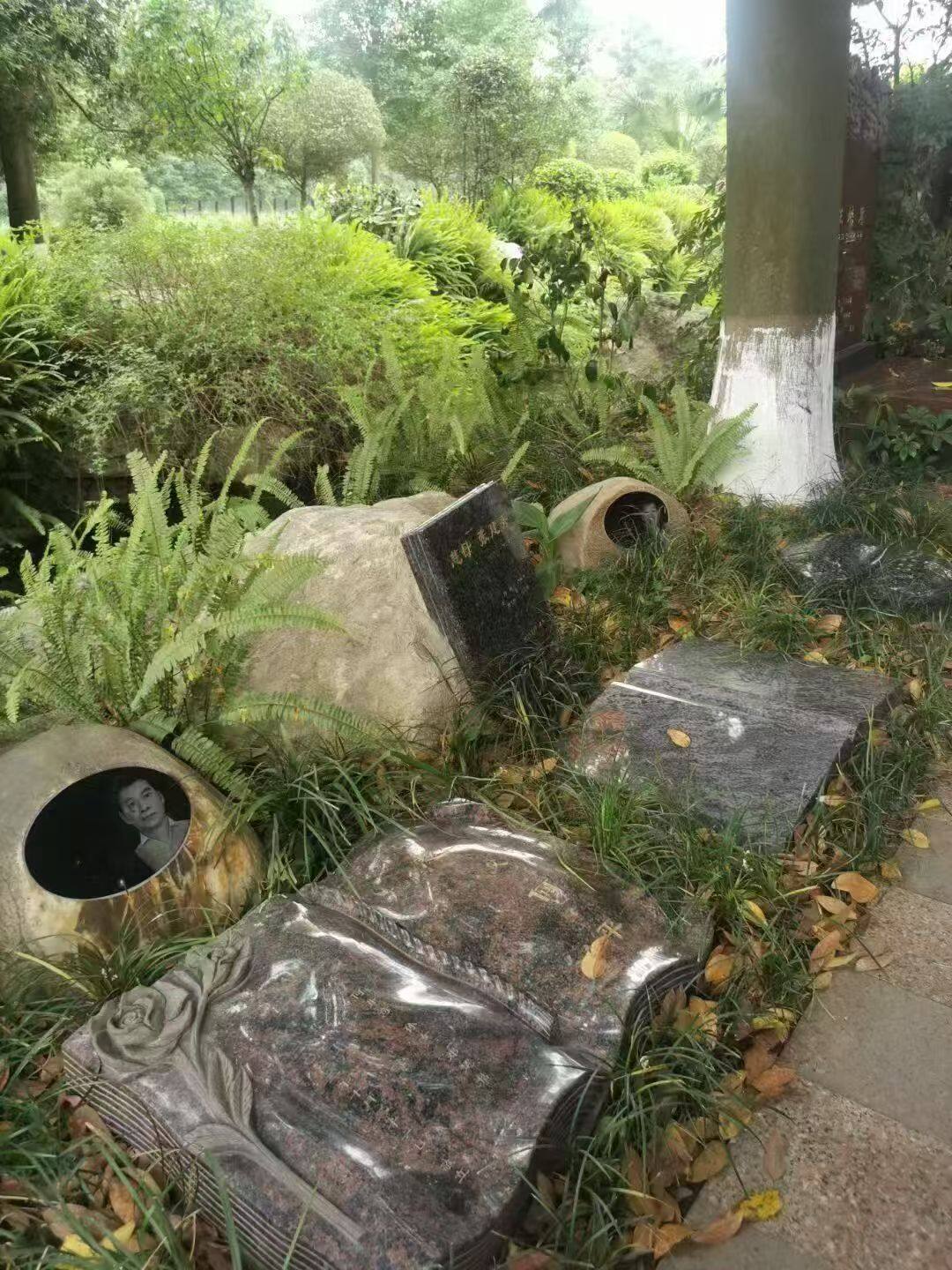 树葬-2