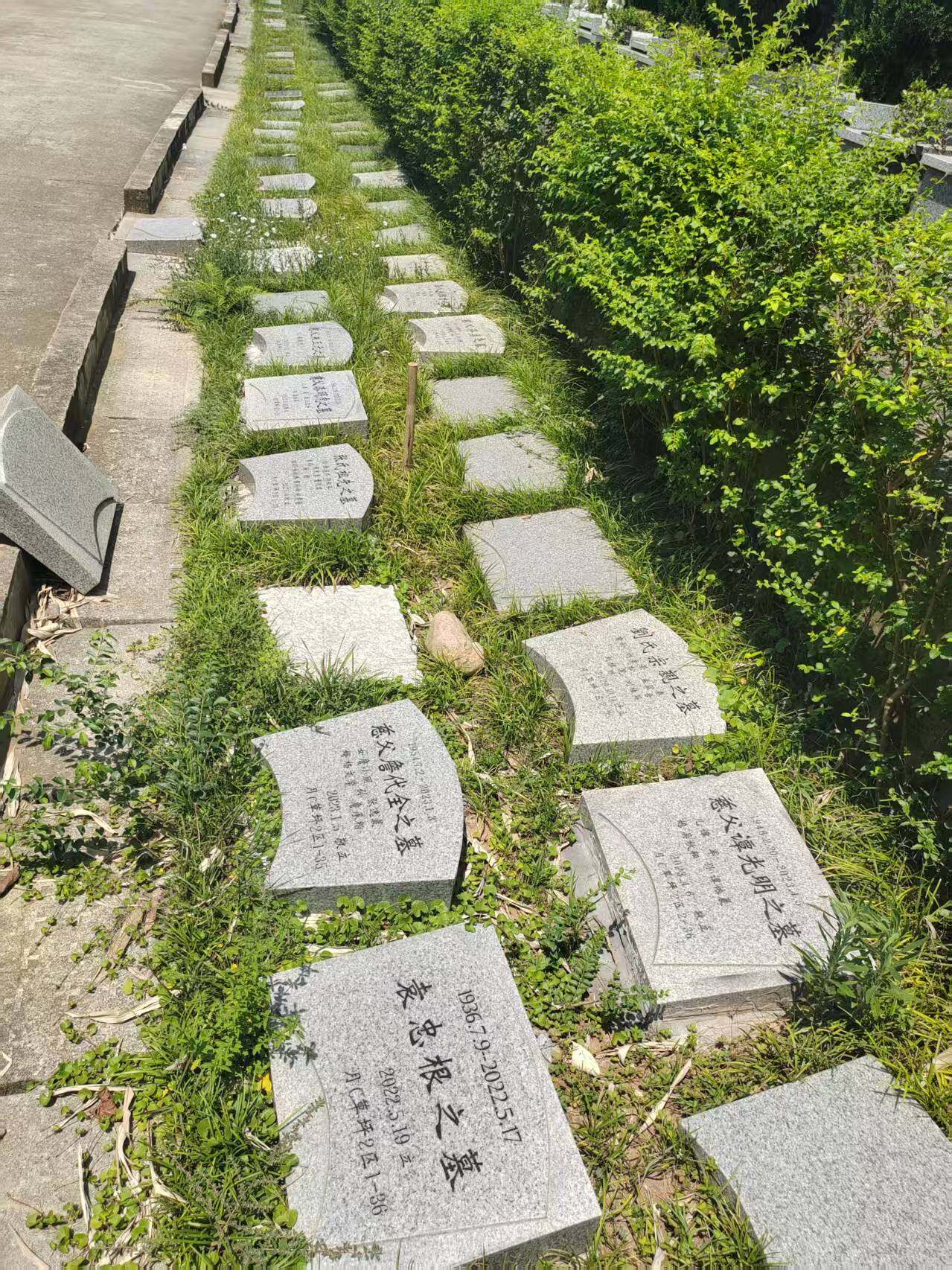 草坪葬-1