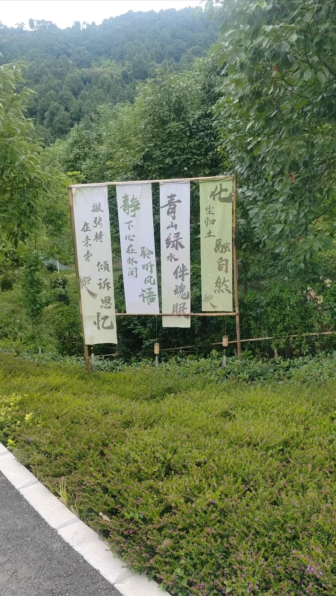 树葬-5