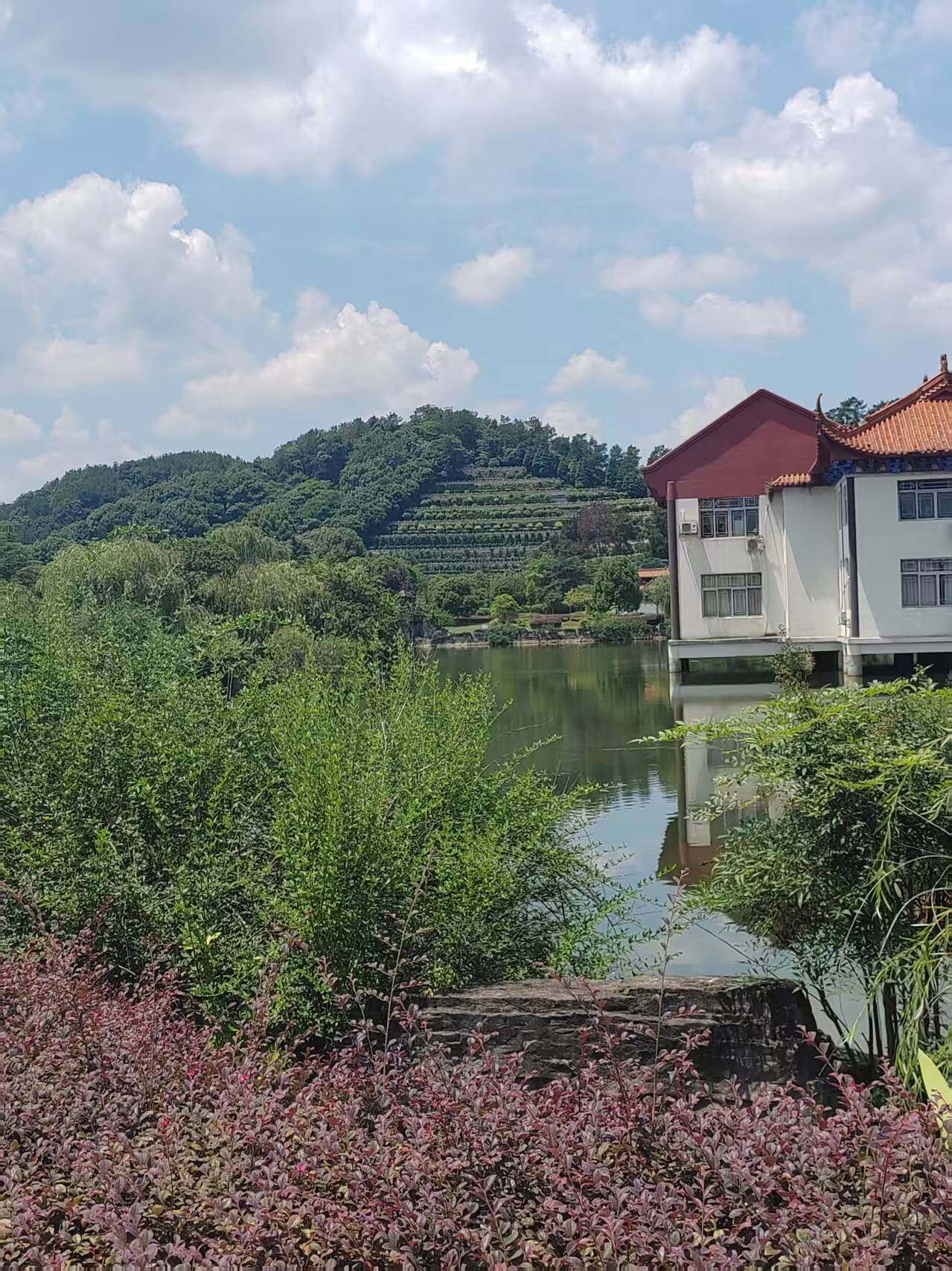 立碑双墓-7