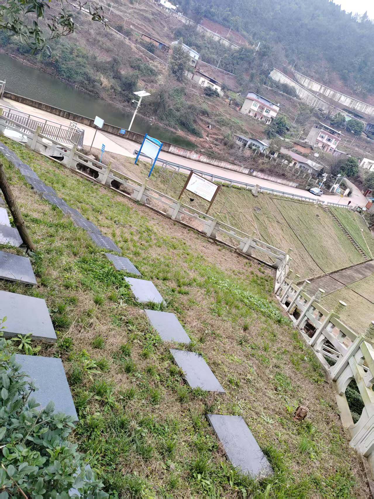草坪葬-2