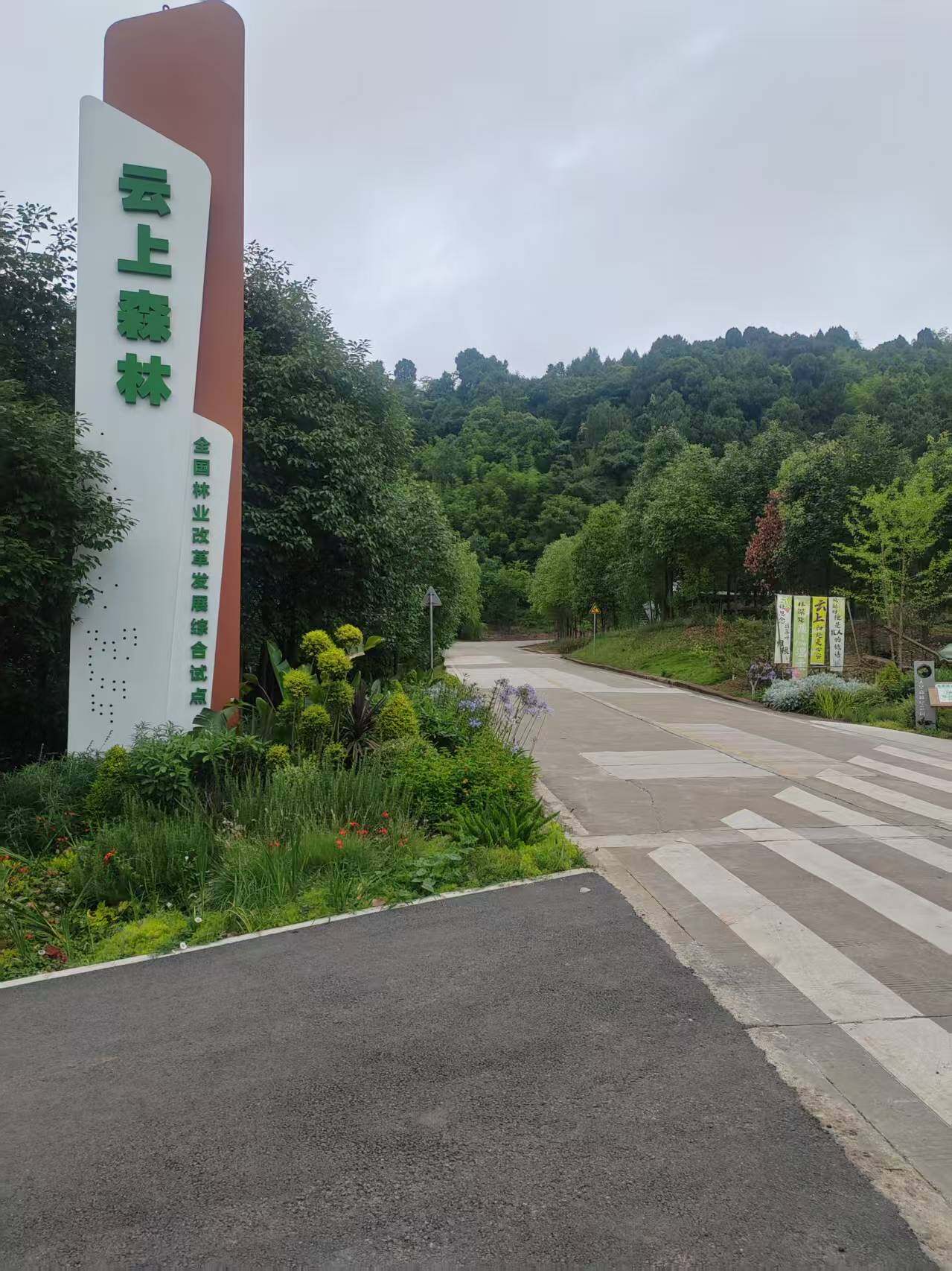云上森林