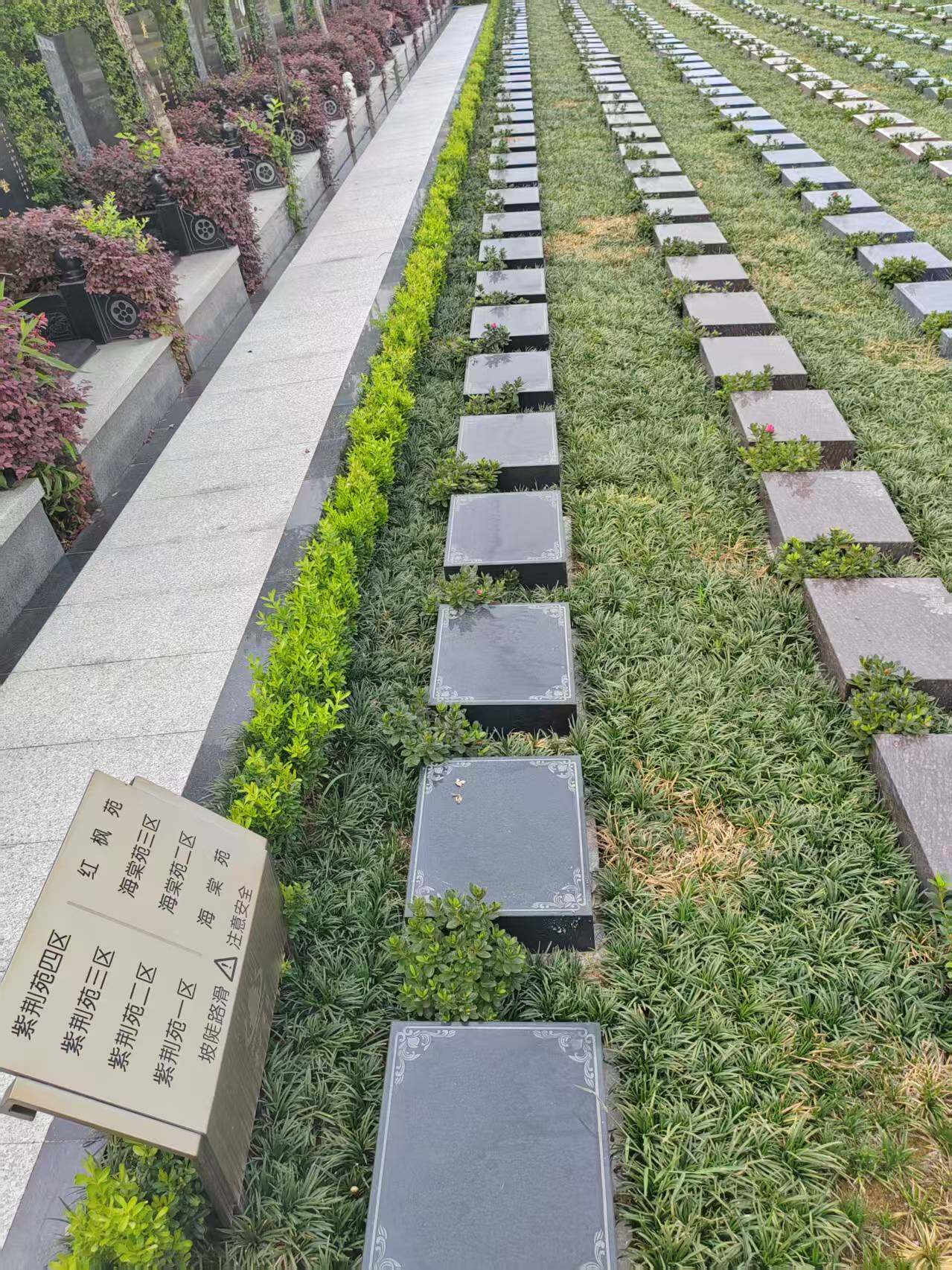 草坪葬-1