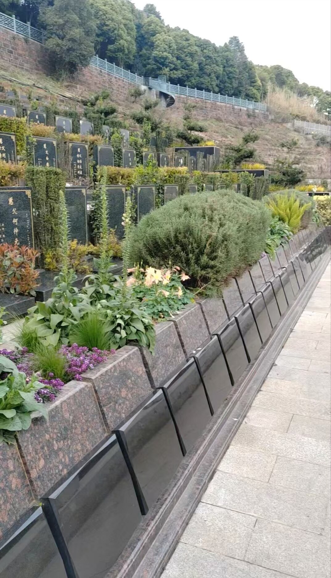 立碑双墓-1