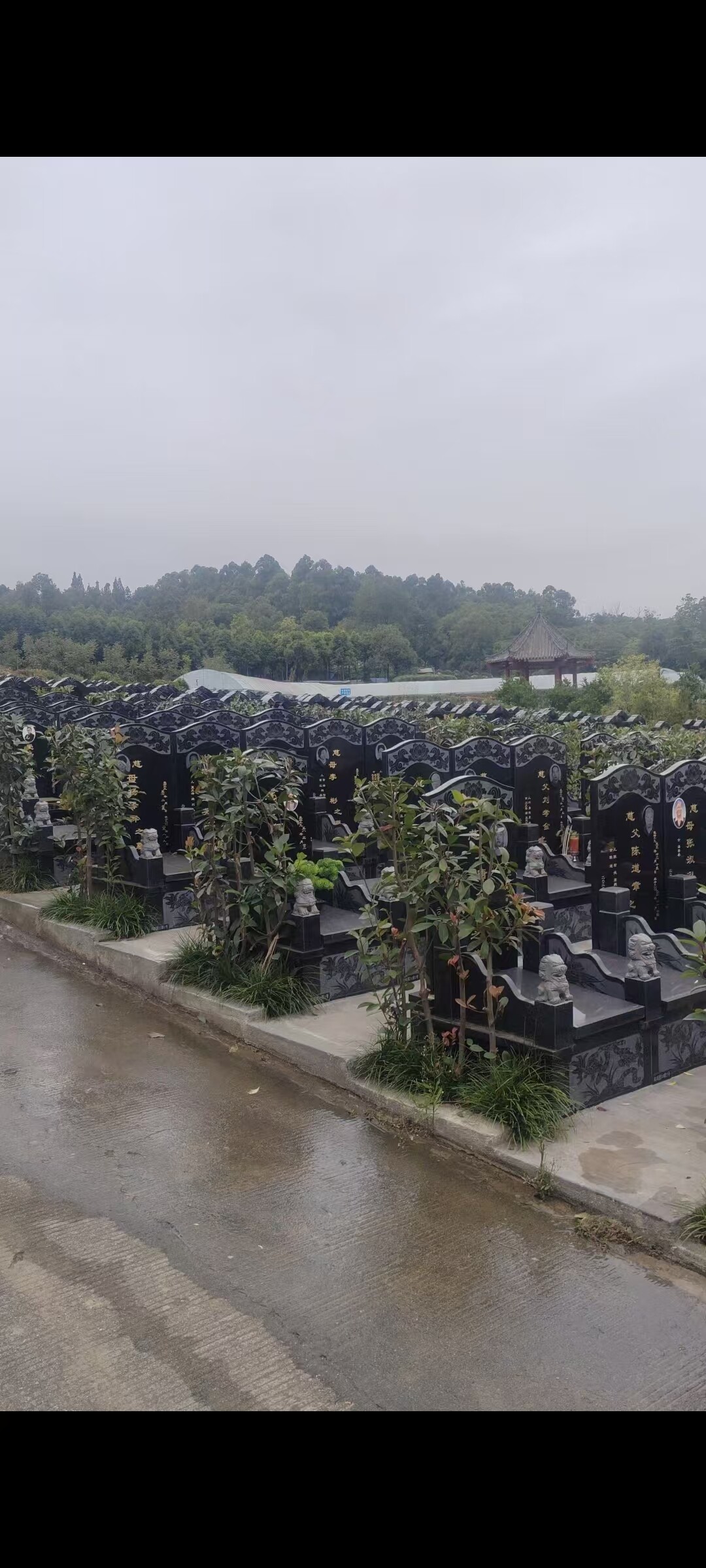 立碑双墓-2