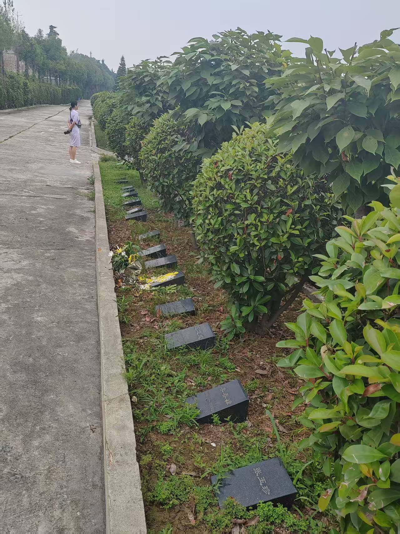 花台葬-1