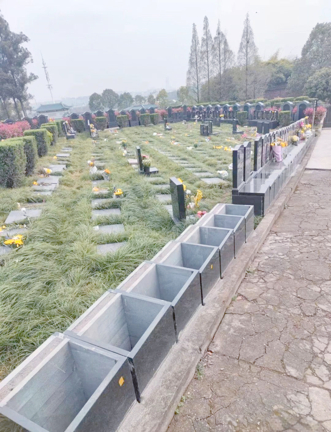 花台葬-2