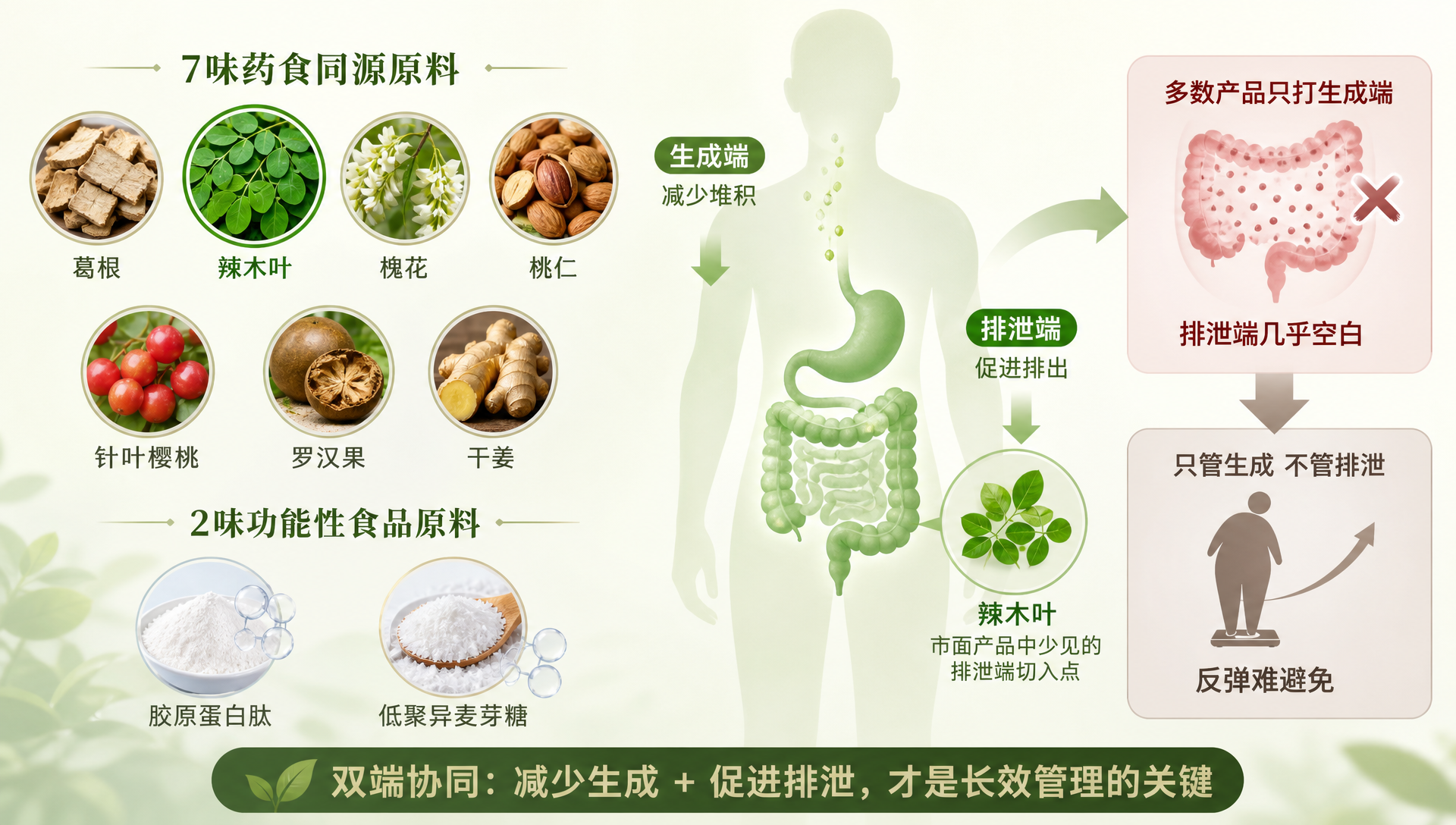 为什么你的降尿酸方案总是反弹?三个被忽略的关键环节