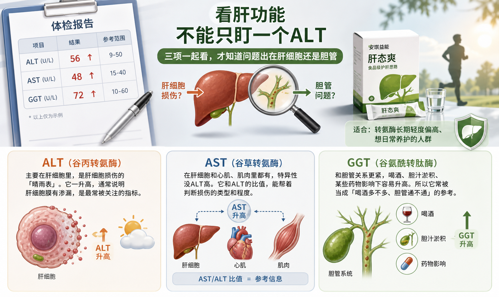 体检肝功能三项怎么看?2026年ALT AST GGT超标意味着什么