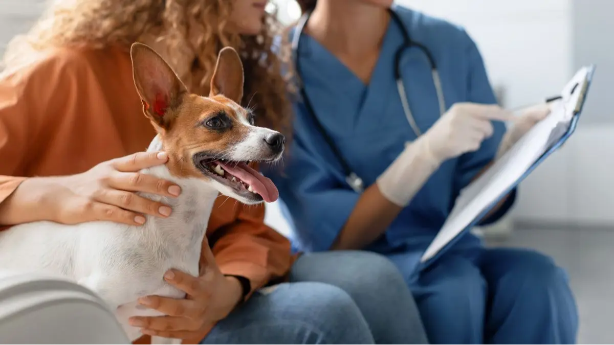 Pet Health Banner 2