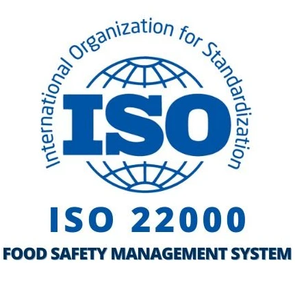 ISO 9001 Logo