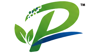Pioneer Additive Logo