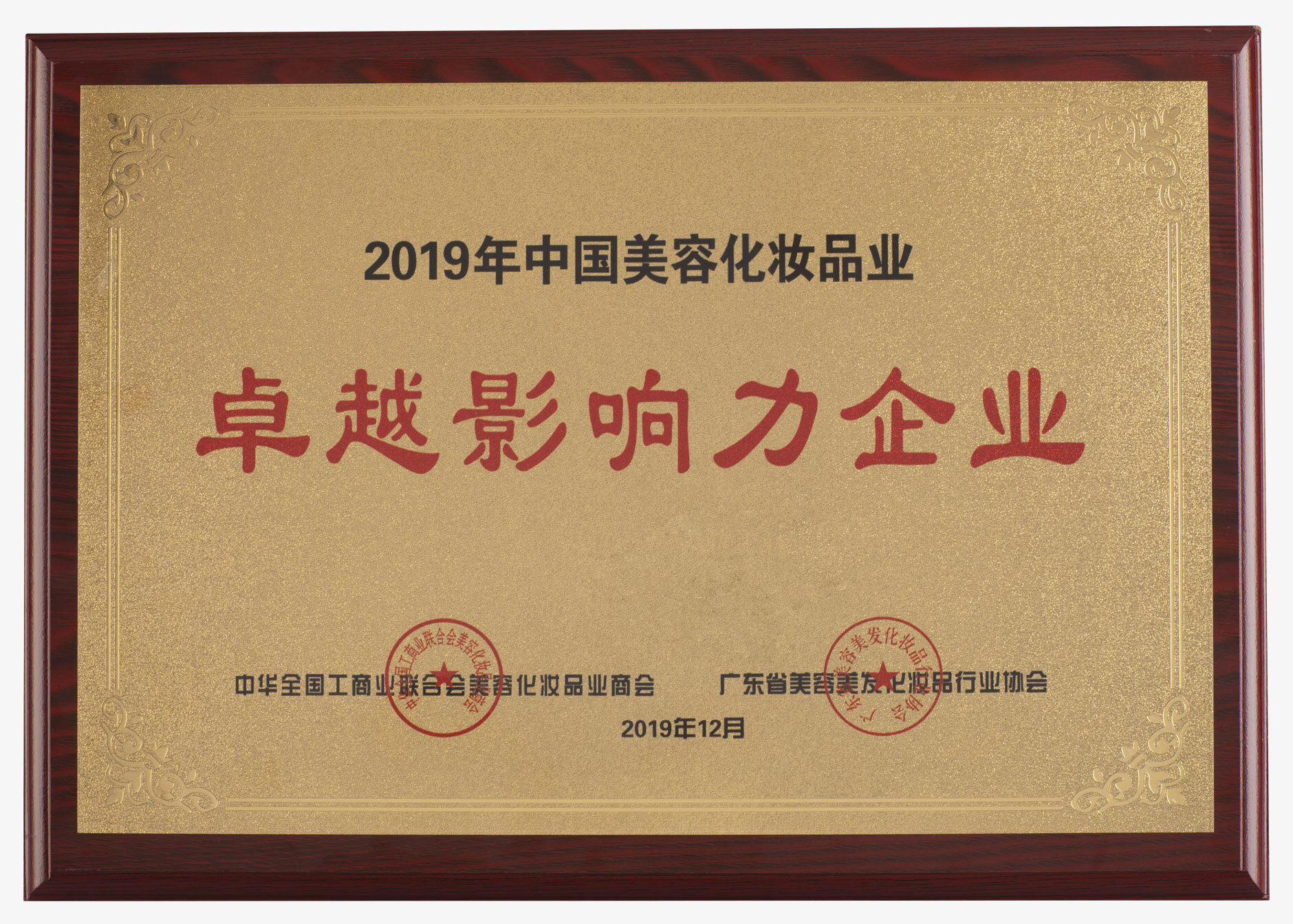 卓越影响力企业