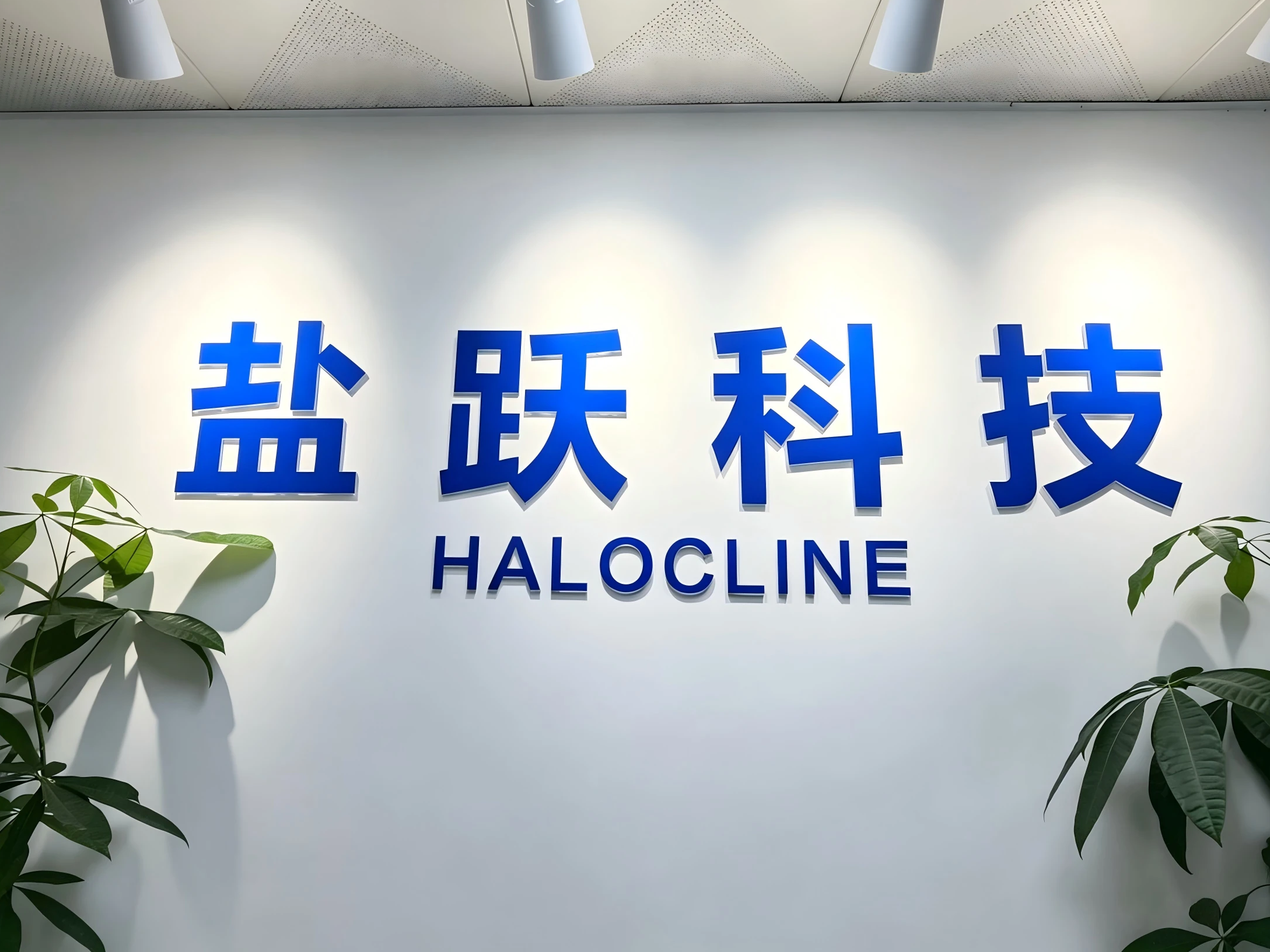 Company Location
