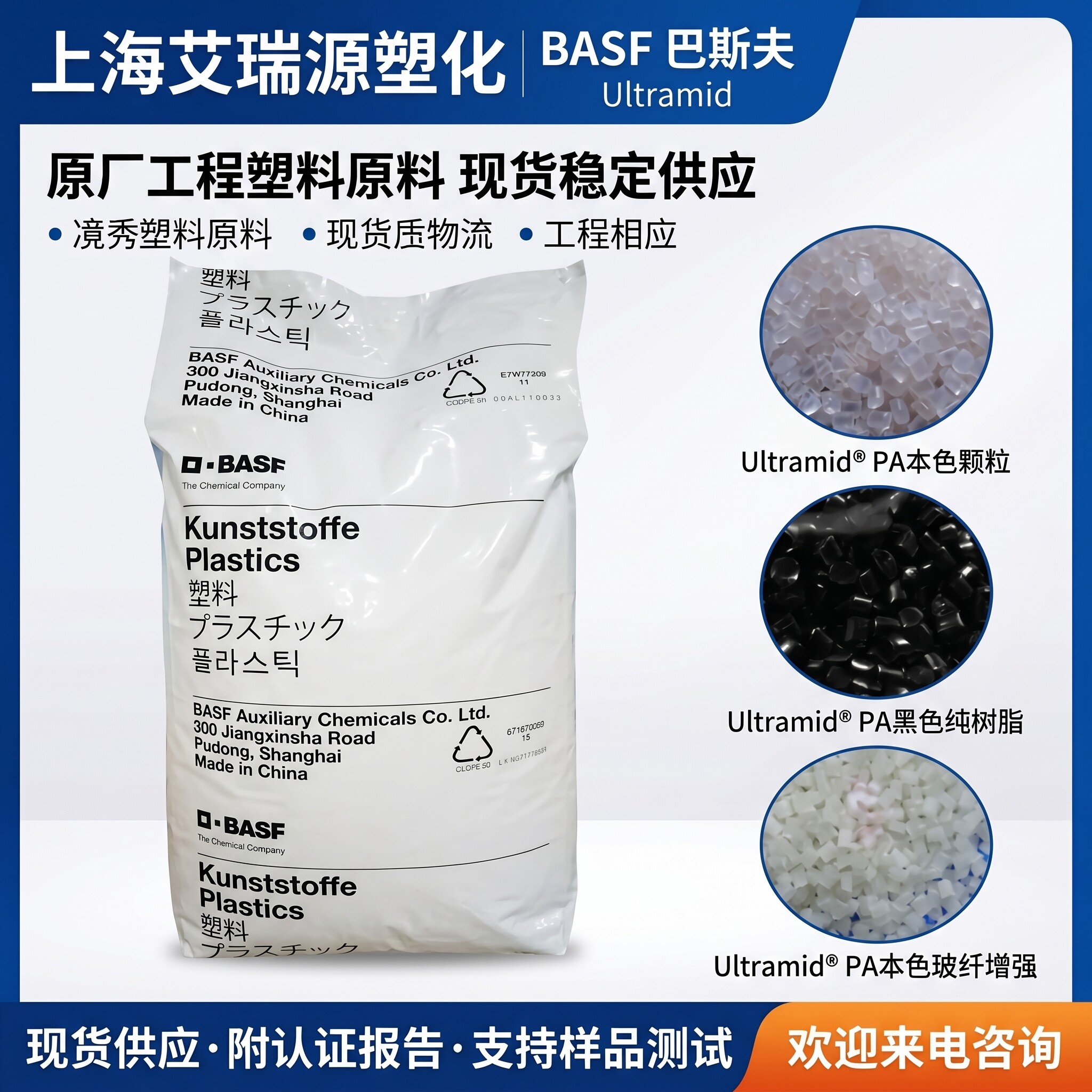 BASF PA6 Series (Germany)