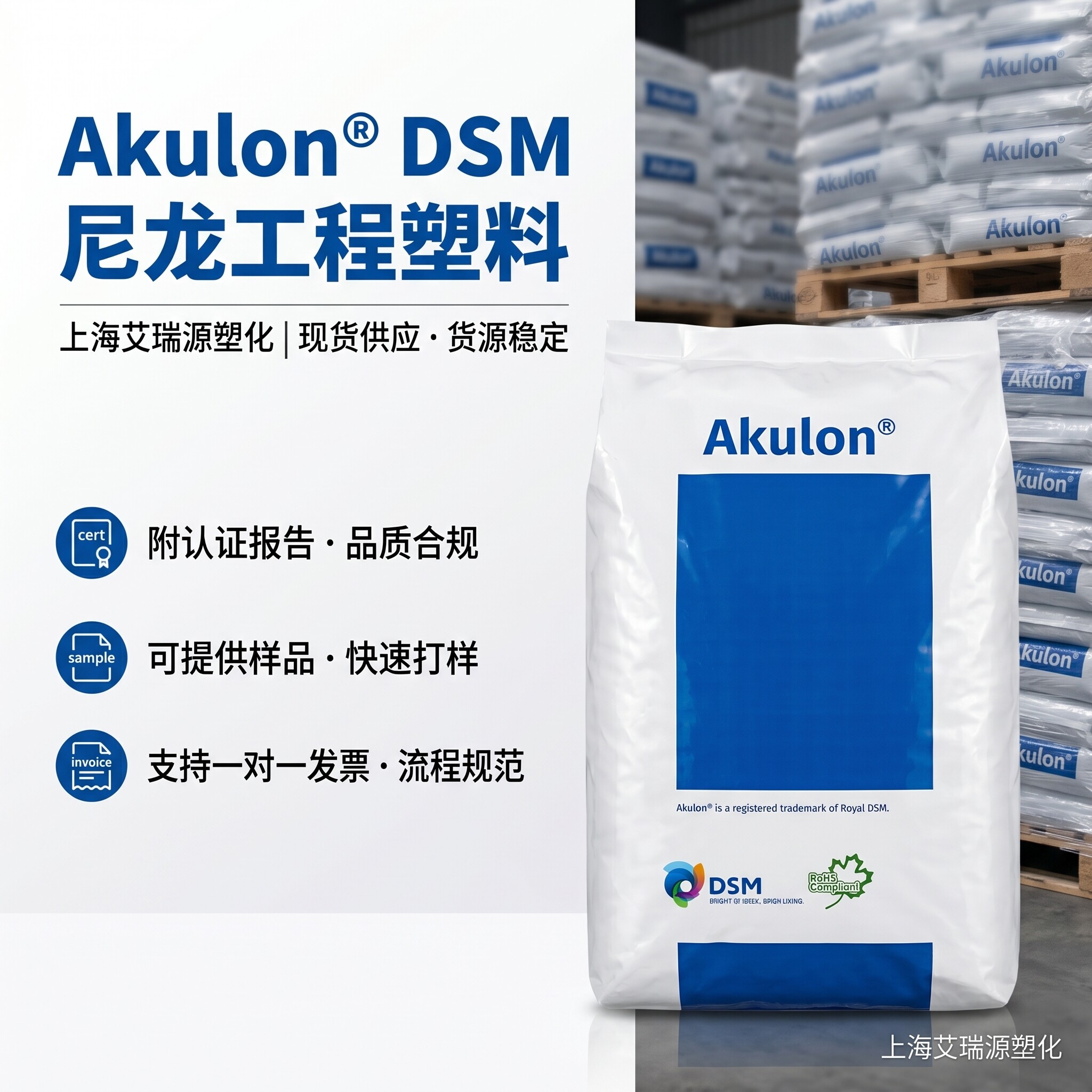 Netherlands DSM PA6 Series