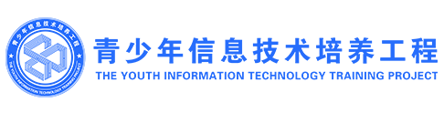 Youth Artificial Intelligence Programming Proficiency Test