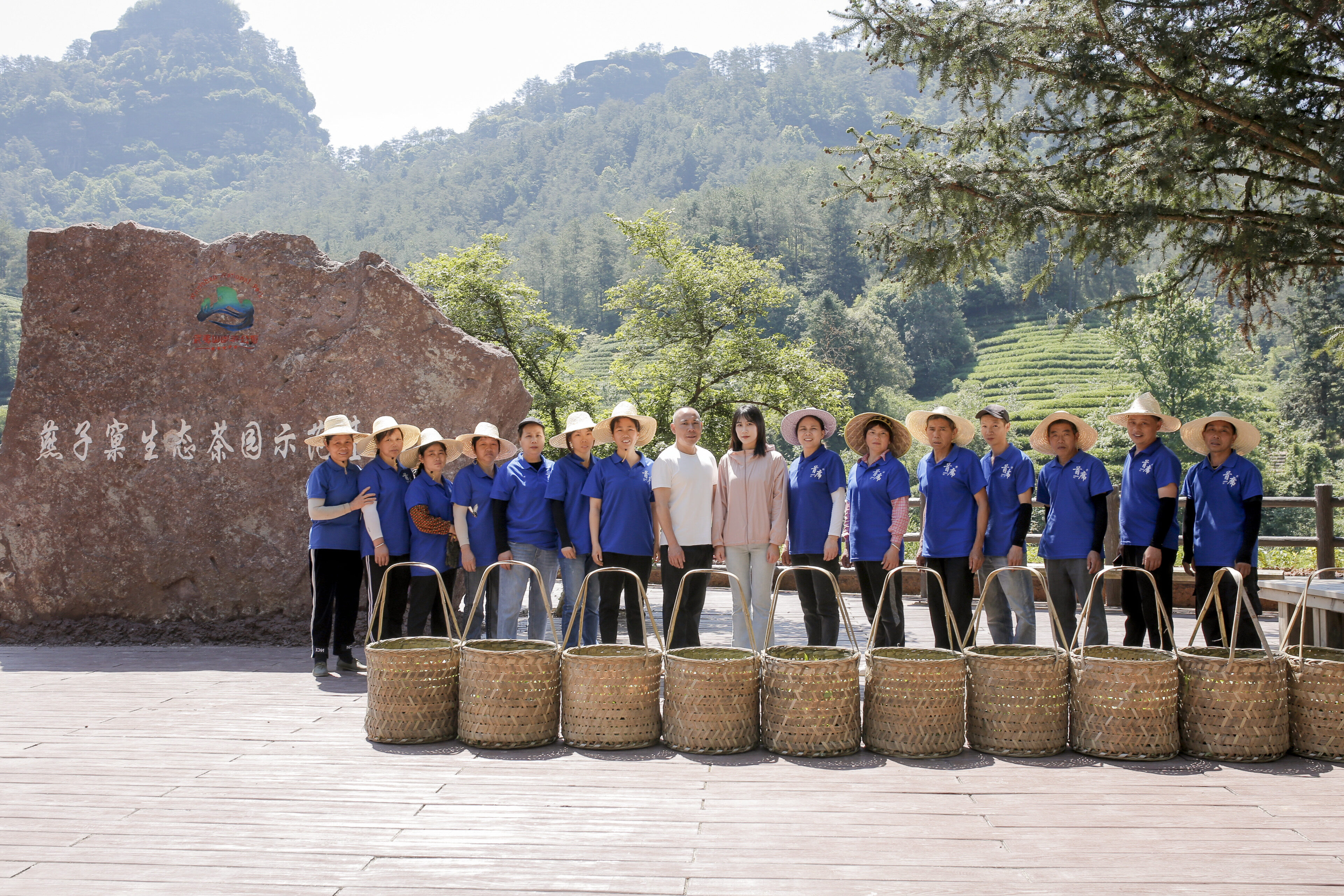 燕子窠生态茶园